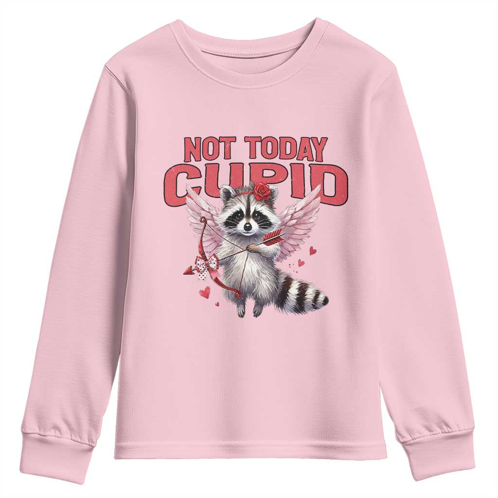 Funny Raccoon Cupid Anti Valentine Youth Sweatshirt Not Today Cupid TS12 Light Pink Print Your Wear