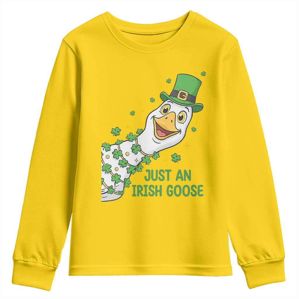 Just An Irish Goose Youth Sweatshirt Funny St Patricks Day TS12 Daisy Print Your Wear