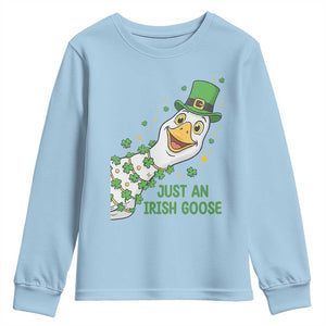 Just An Irish Goose Youth Sweatshirt Funny St Patricks Day TS12 Light Blue Print Your Wear