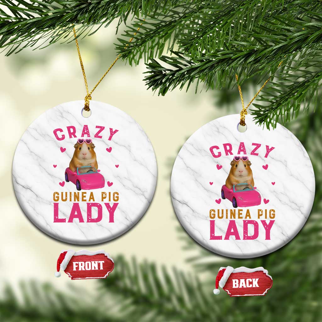 Crazy Guinea Pig Lady Ceramic Ornament Funny Pet Lover Gift TS12 1pc White Marble Print Your Wear