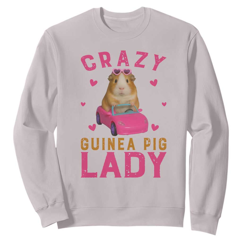 Crazy Guinea Pig Lady Sweatshirt Funny Pet Lover Gift TS12 Ice Gray Print Your Wear