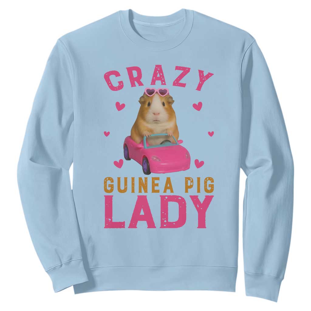 Crazy Guinea Pig Lady Sweatshirt Funny Pet Lover Gift TS12 Light Blue Print Your Wear