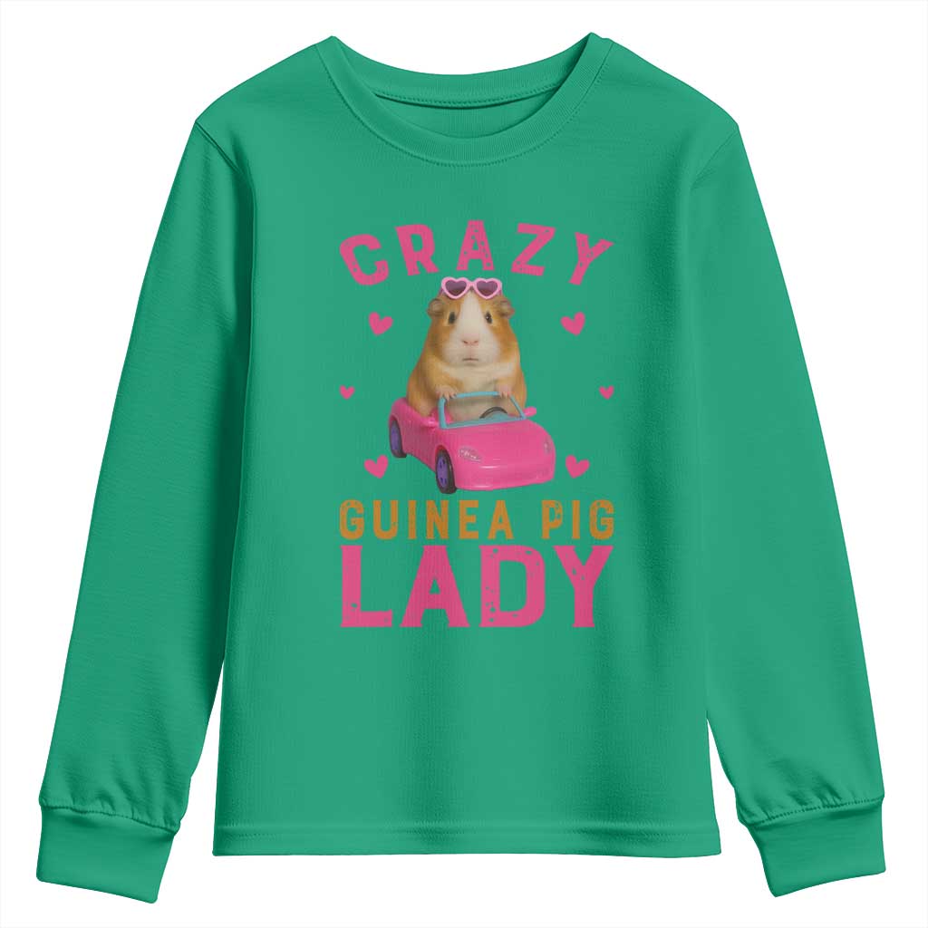 Crazy Guinea Pig Lady Youth Sweatshirt Funny Pet Lover Gift TS12 Irish Green Print Your Wear