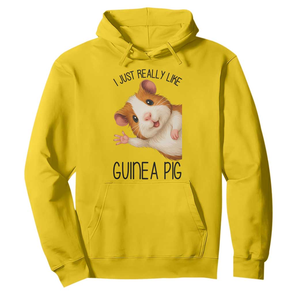 I Just Really Like Guinea Pigs Hoodie Funny Cavy Lover TS12 Daisy Print Your Wear