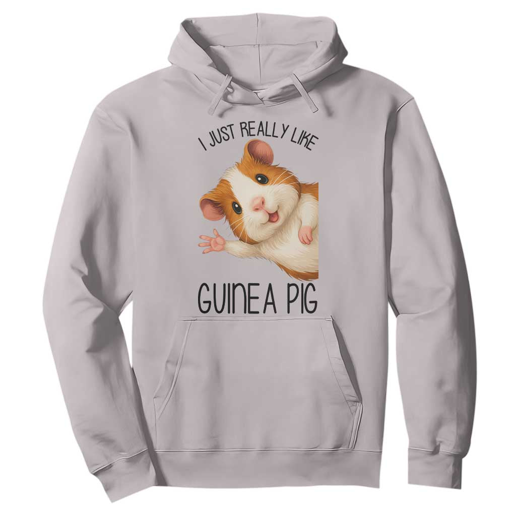 I Just Really Like Guinea Pigs Hoodie Funny Cavy Lover TS12 Ice Gray Print Your Wear