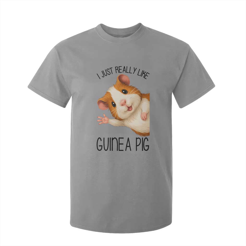 I Just Really Like Guinea Pigs T Shirt For Kid Funny Cavy Lover TS12 Sport Gray Print Your Wear