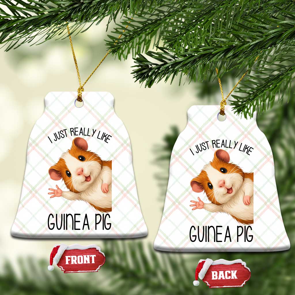 I Just Really Like Guinea Pigs Ceramic Ornament Funny Cavy Lover TS12 Print Your Wear