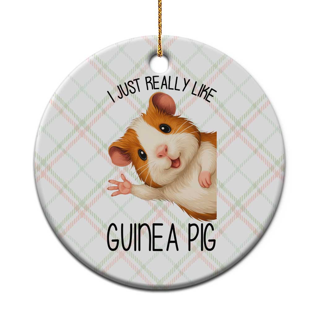 I Just Really Like Guinea Pigs Ceramic Ornament Funny Cavy Lover TS12 1pc Christmas Plaid Print Your Wear