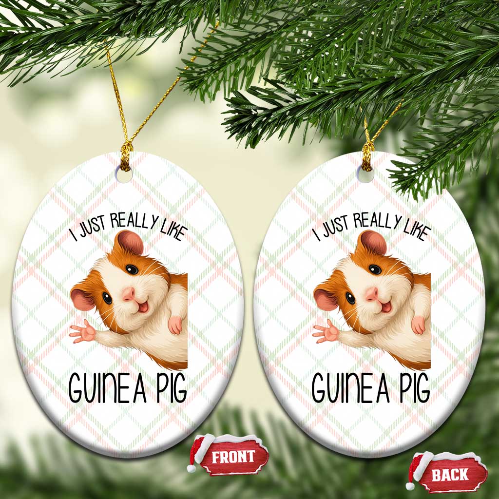 I Just Really Like Guinea Pigs Ceramic Ornament Funny Cavy Lover TS12 Print Your Wear