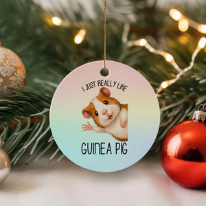 I Just Really Like Guinea Pigs Ceramic Ornament Funny Cavy Lover TS12 1pc Pastel Print Your Wear