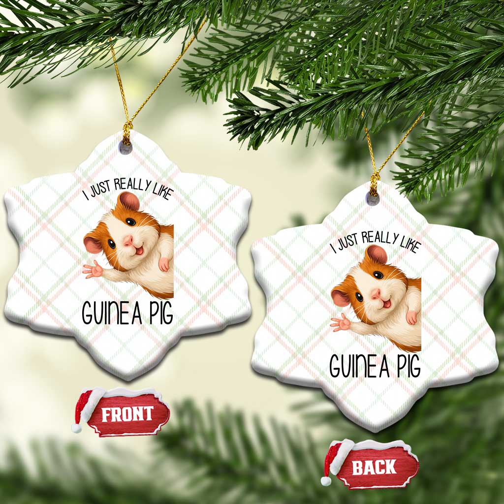 I Just Really Like Guinea Pigs Ceramic Ornament Funny Cavy Lover TS12 Print Your Wear