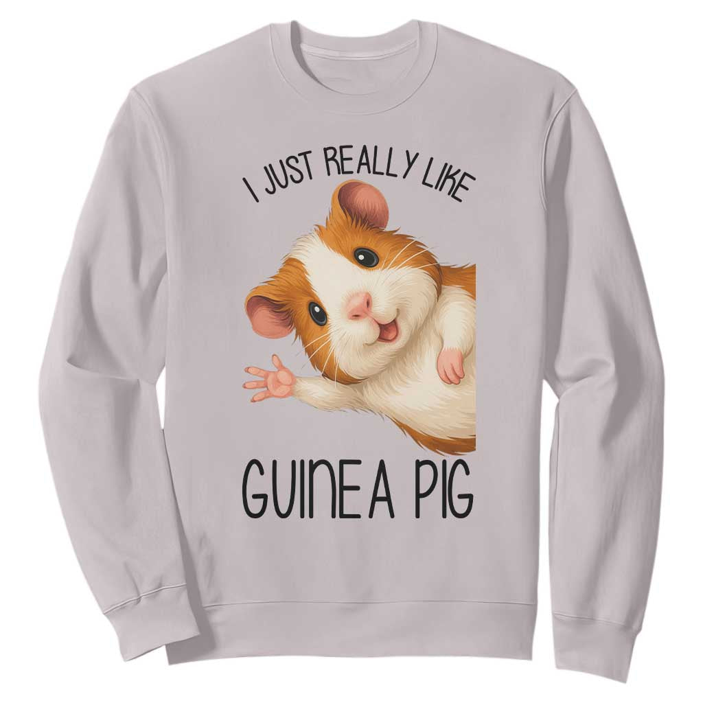 I Just Really Like Guinea Pigs Sweatshirt Funny Cavy Lover TS12 Ice Gray Print Your Wear