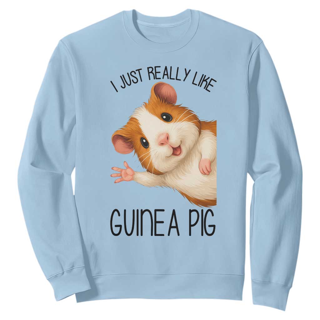 I Just Really Like Guinea Pigs Sweatshirt Funny Cavy Lover TS12 Light Blue Print Your Wear