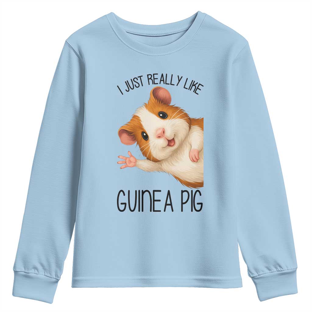 I Just Really Like Guinea Pigs Youth Sweatshirt Funny Cavy Lover TS12 Light Blue Print Your Wear