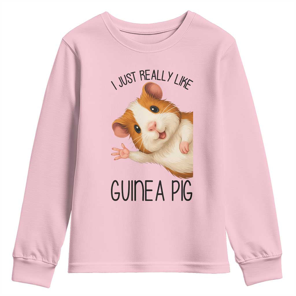 I Just Really Like Guinea Pigs Youth Sweatshirt Funny Cavy Lover TS12 Light Pink Print Your Wear