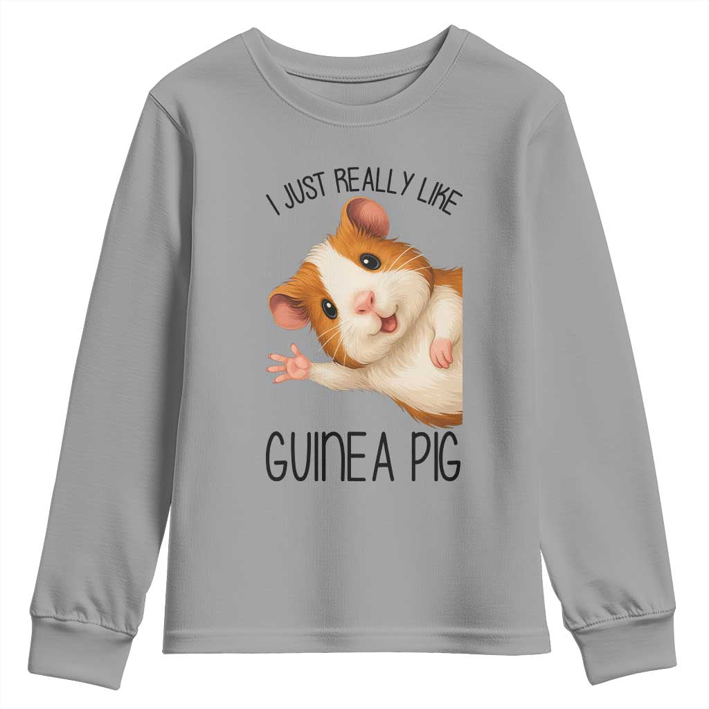 I Just Really Like Guinea Pigs Youth Sweatshirt Funny Cavy Lover TS12 Sport Gray Print Your Wear