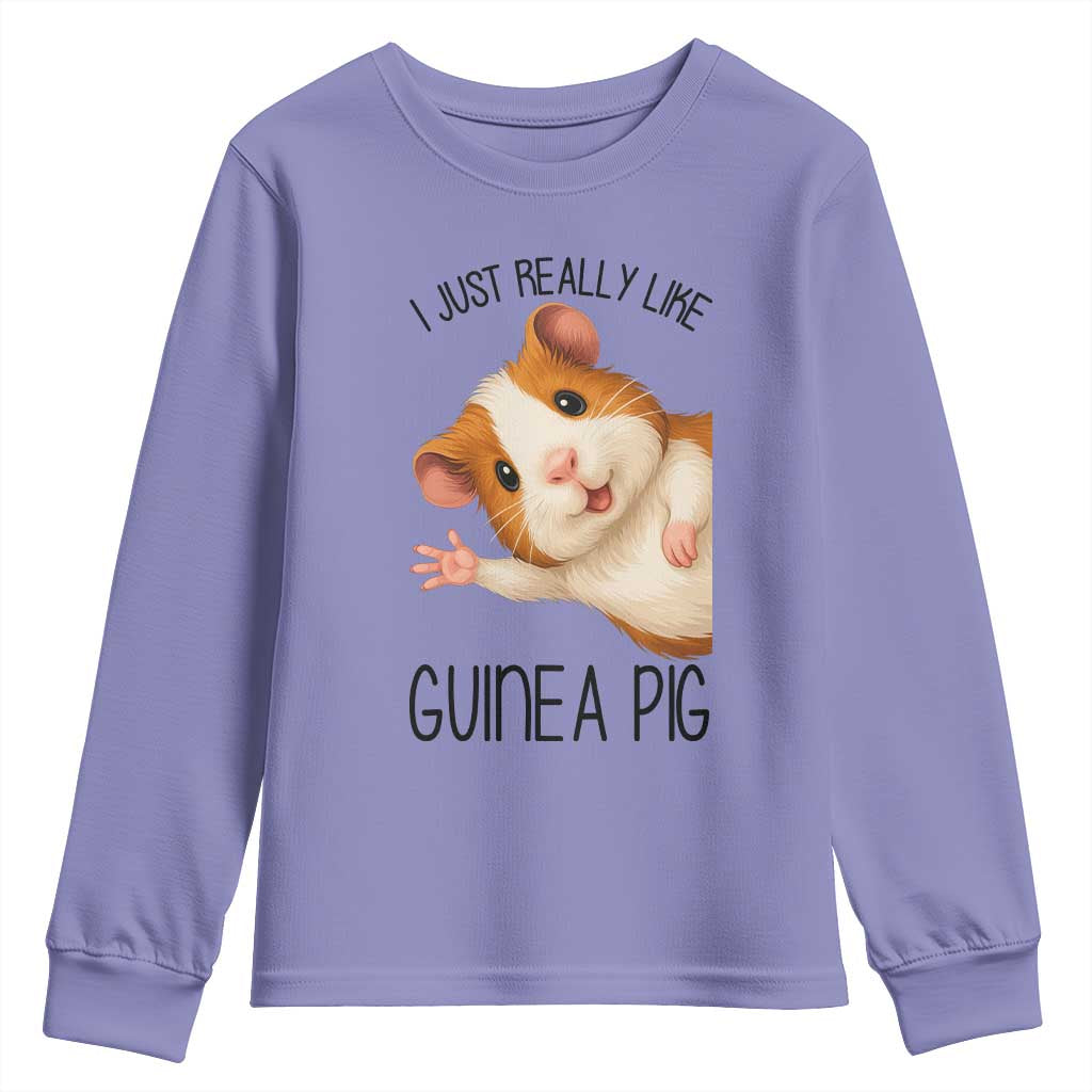 I Just Really Like Guinea Pigs Youth Sweatshirt Funny Cavy Lover TS12 Violet Print Your Wear