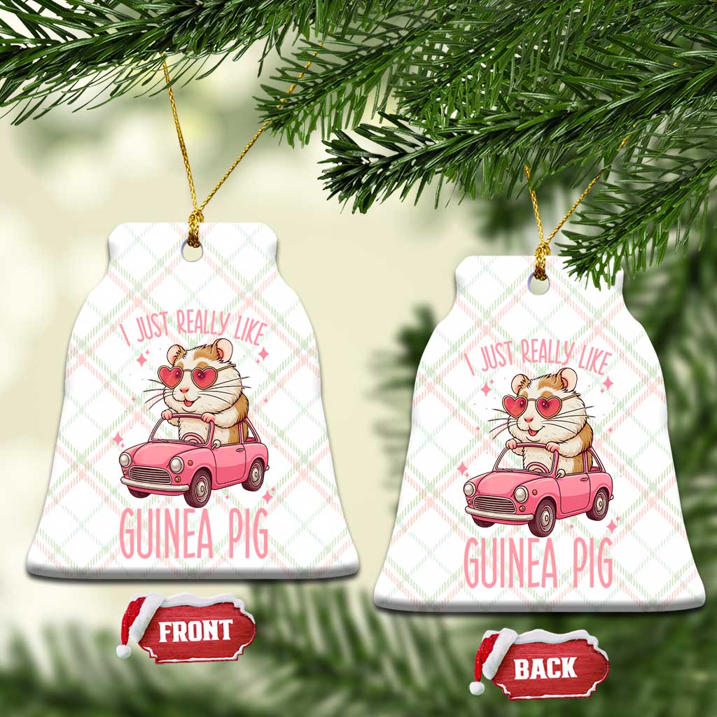 I Just Really Like Guinea Pigs Ceramic Ornament Pet Lover Gift For Girl TS12 Print Your Wear