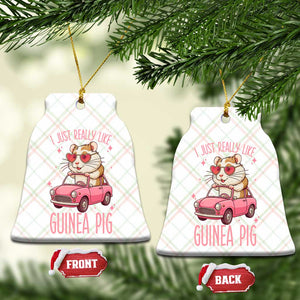 I Just Really Like Guinea Pigs Ceramic Ornament Pet Lover Gift For Girl TS12 Print Your Wear