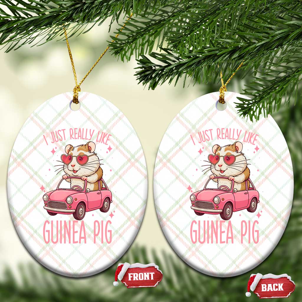 I Just Really Like Guinea Pigs Ceramic Ornament Pet Lover Gift For Girl TS12 Print Your Wear