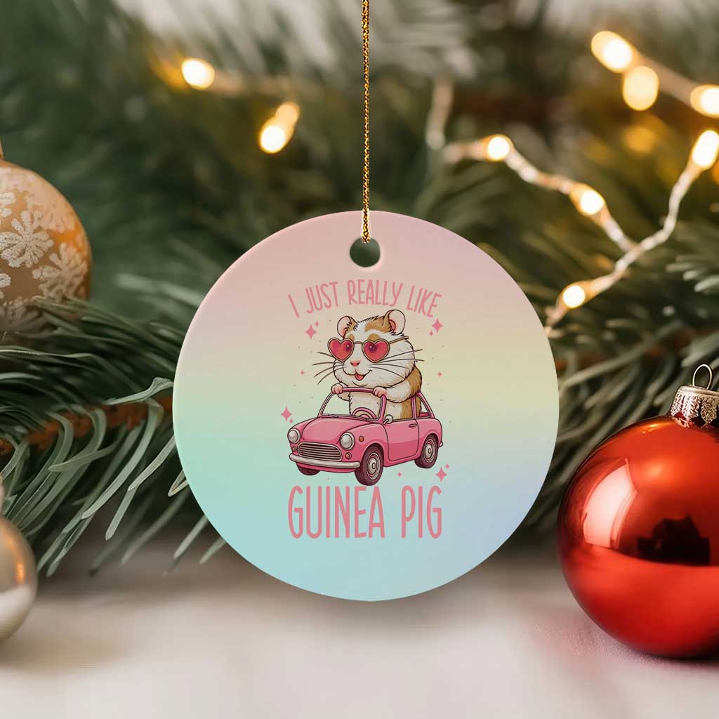 I Just Really Like Guinea Pigs Ceramic Ornament Pet Lover Gift For Girl TS12 1pc Pastel Print Your Wear