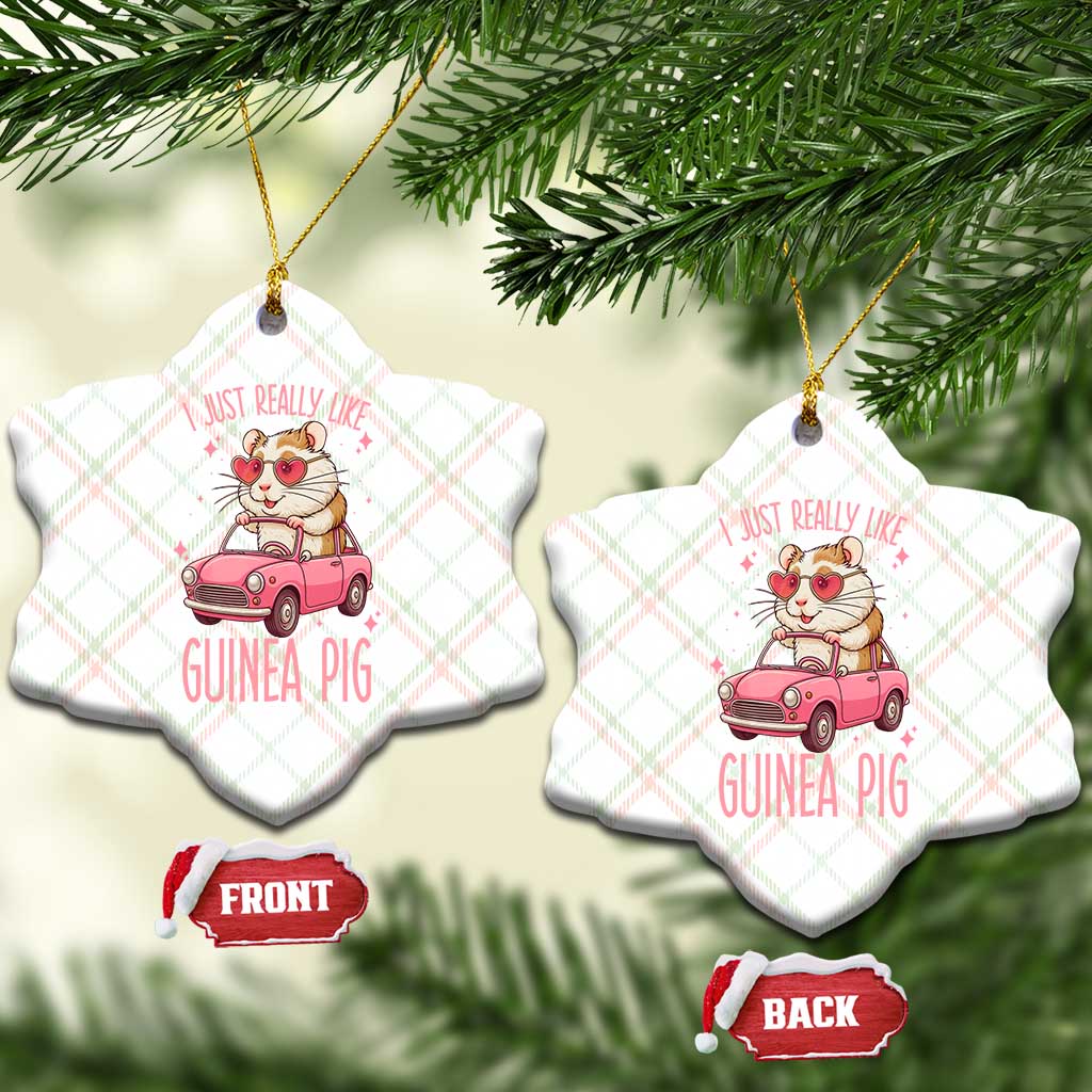 I Just Really Like Guinea Pigs Ceramic Ornament Pet Lover Gift For Girl TS12 Print Your Wear