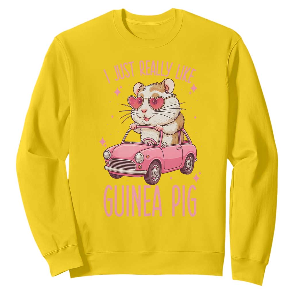 I Just Really Like Guinea Pigs Sweatshirt Pet Lover Gift For Girl TS12 Daisy Print Your Wear
