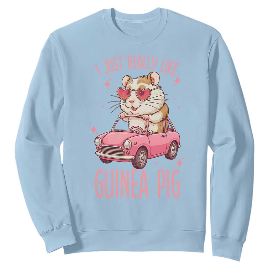 I Just Really Like Guinea Pigs Sweatshirt Pet Lover Gift For Girl TS12 Light Blue Print Your Wear