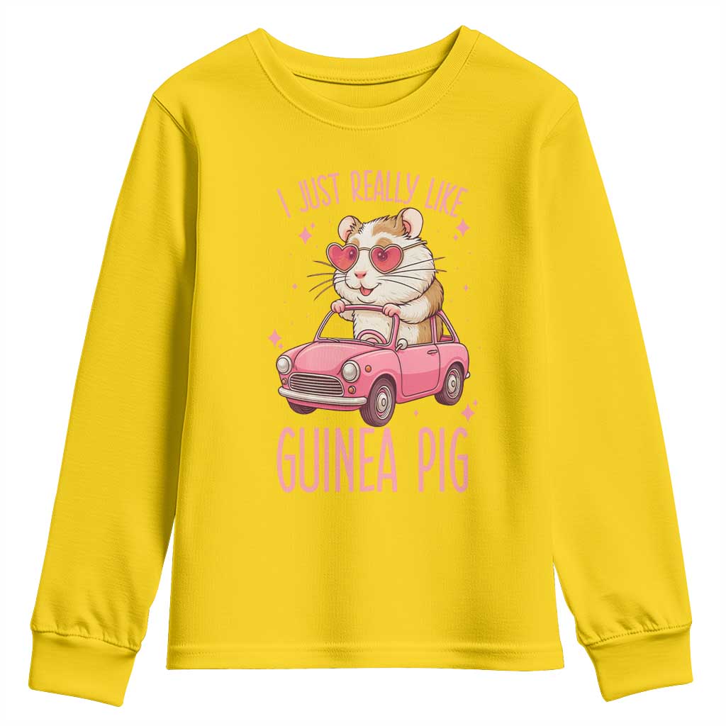 I Just Really Like Guinea Pigs Youth Sweatshirt Pet Lover Gift For Girl TS12 Daisy Print Your Wear