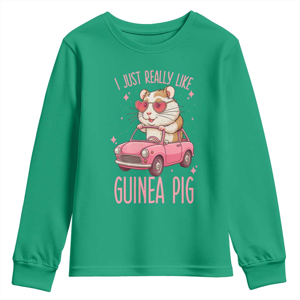 I Just Really Like Guinea Pigs Youth Sweatshirt Pet Lover Gift For Girl TS12 Irish Green Print Your Wear