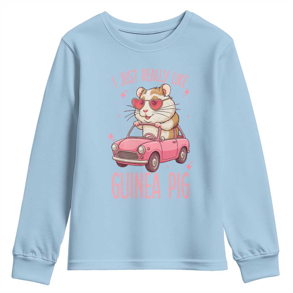 I Just Really Like Guinea Pigs Youth Sweatshirt Pet Lover Gift For Girl TS12 Light Blue Print Your Wear