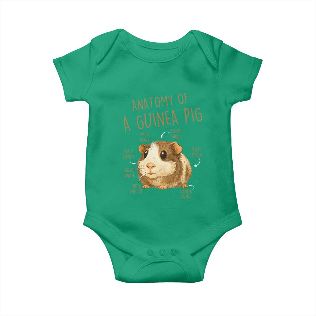 Anatomy Of A Guinea Pig Baby Onesie Funny Cavy Lover Animal Anatomy Gift TS12 Irish Green Print Your Wear