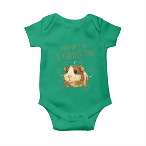 Anatomy Of A Guinea Pig Baby Onesie Funny Cavy Lover Animal Anatomy Gift TS12 Irish Green Print Your Wear