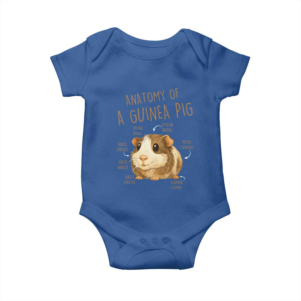 Anatomy Of A Guinea Pig Baby Onesie Funny Cavy Lover Animal Anatomy Gift TS12 Royal Blue Print Your Wear