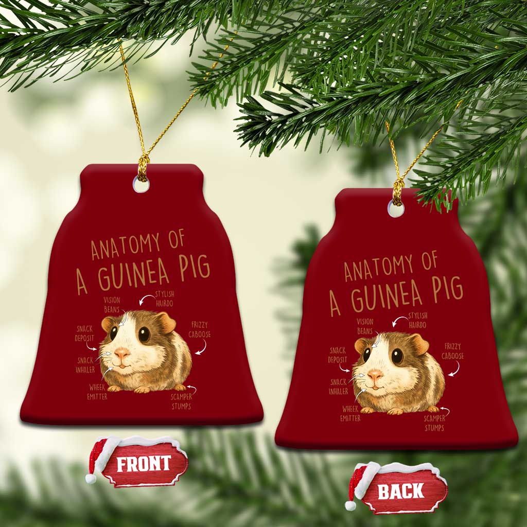 Anatomy Of A Guinea Pig Ceramic Ornament Funny Cavy Lover Animal Anatomy Gift TS12 Print Your Wear