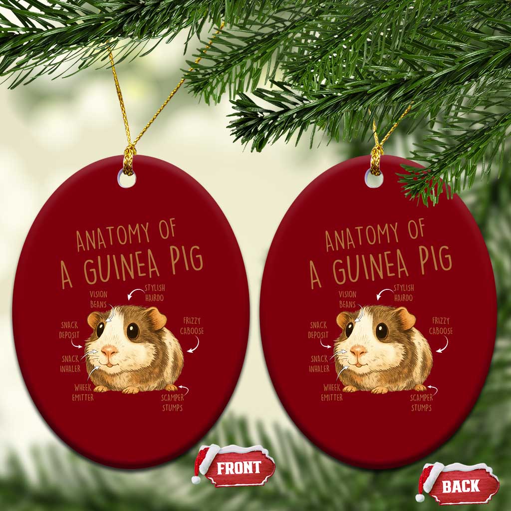 Anatomy Of A Guinea Pig Ceramic Ornament Funny Cavy Lover Animal Anatomy Gift TS12 Print Your Wear
