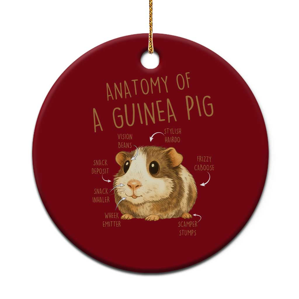 Anatomy Of A Guinea Pig Ceramic Ornament Funny Cavy Lover Animal Anatomy Gift TS12 1pc Red Print Your Wear