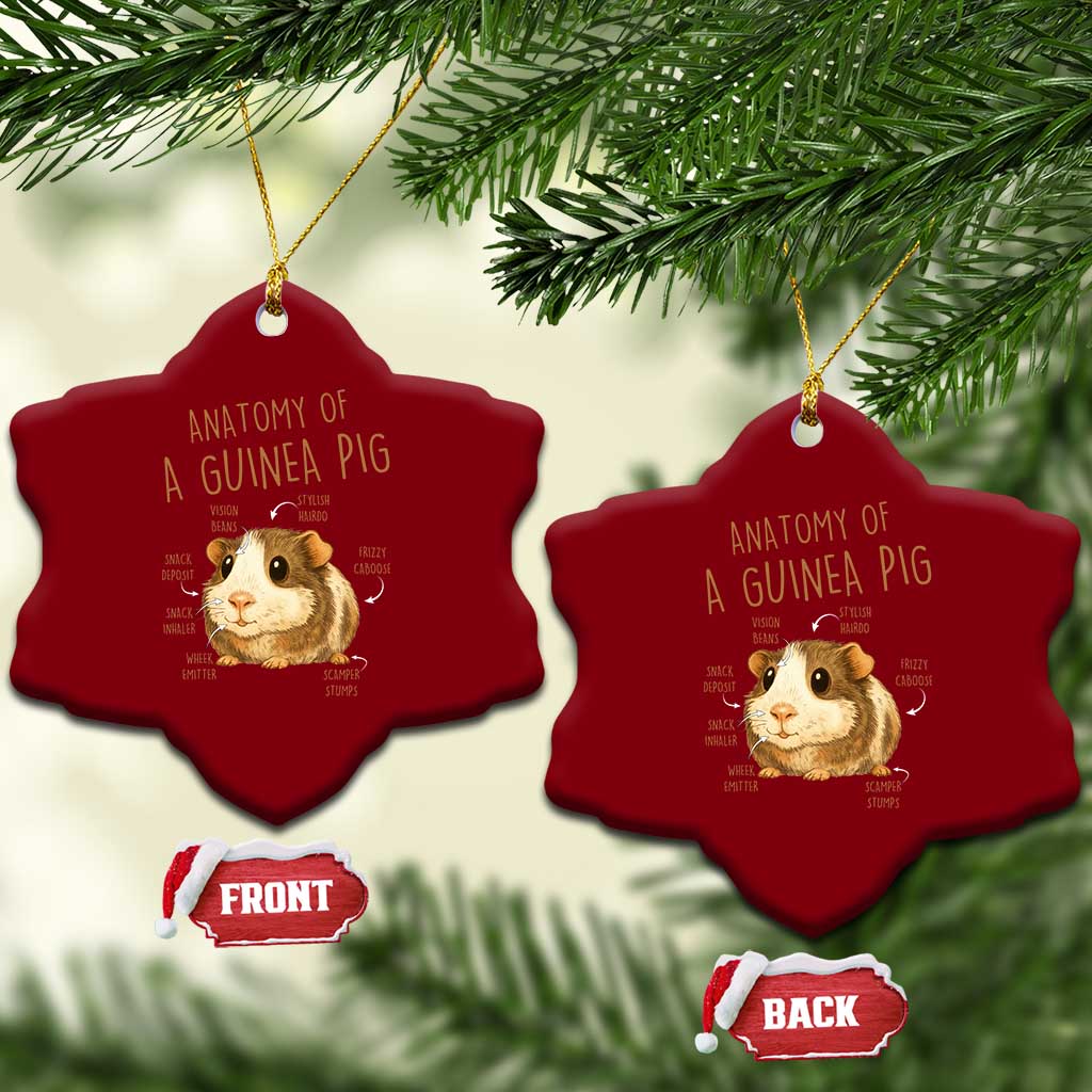 Anatomy Of A Guinea Pig Ceramic Ornament Funny Cavy Lover Animal Anatomy Gift TS12 Print Your Wear