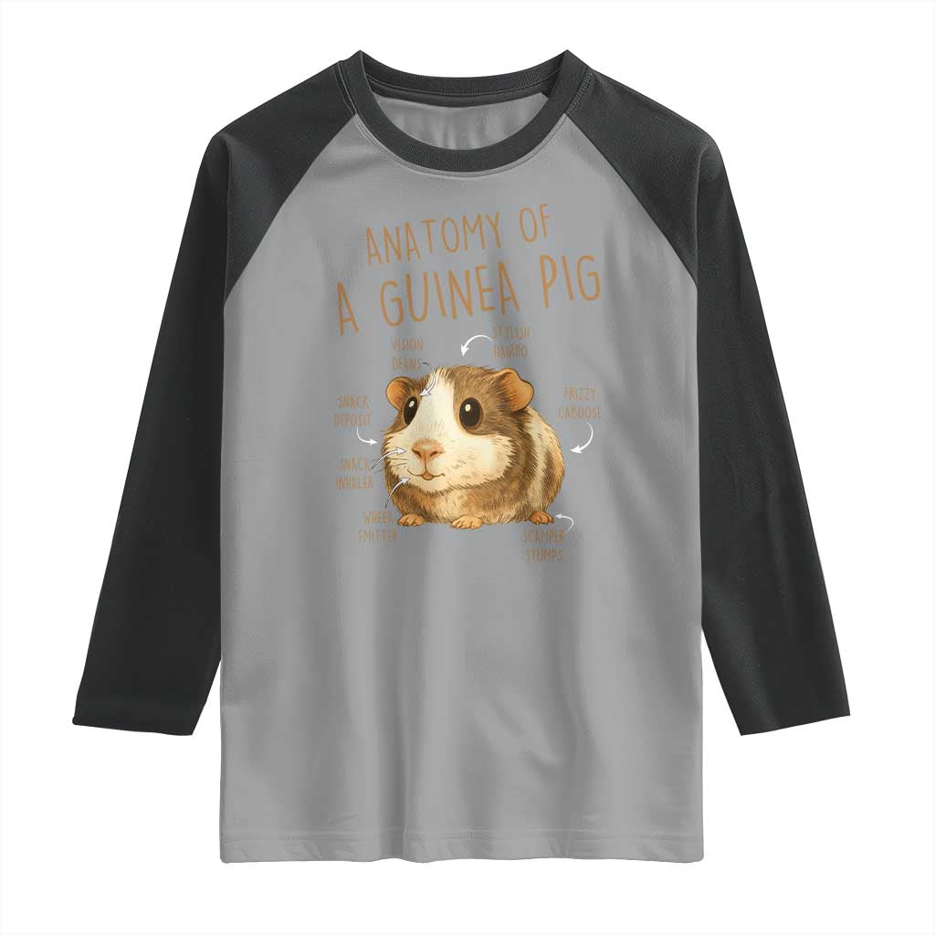 Anatomy Of A Guinea Pig Raglan Shirt Funny Cavy Lover Animal Anatomy Gift TS12 Sport Gray Black Print Your Wear
