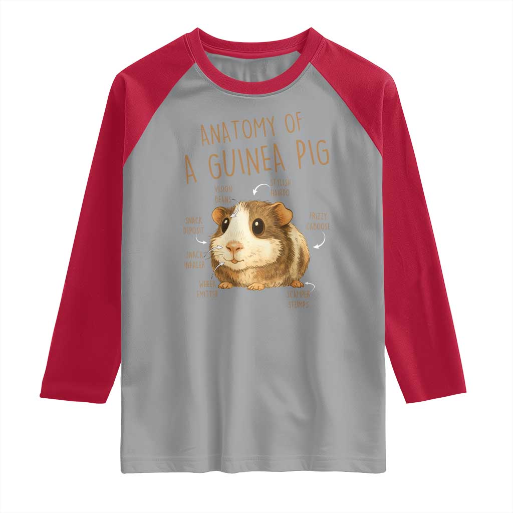 Anatomy Of A Guinea Pig Raglan Shirt Funny Cavy Lover Animal Anatomy Gift TS12 Sport Gray Red Print Your Wear