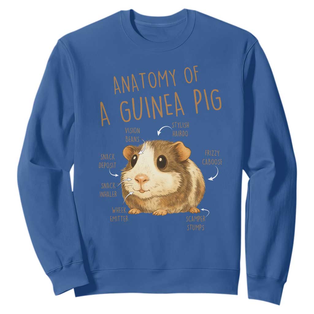 Anatomy Of A Guinea Pig Sweatshirt Funny Cavy Lover Animal Anatomy Gift TS12 Royal Blue Print Your Wear
