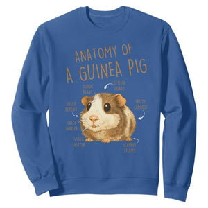 Anatomy Of A Guinea Pig Sweatshirt Funny Cavy Lover Animal Anatomy Gift TS12 Royal Blue Print Your Wear