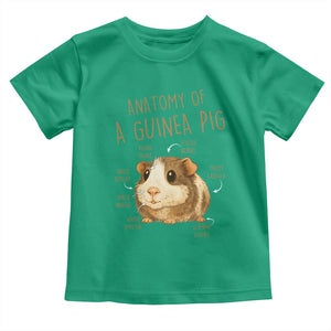 Anatomy Of A Guinea Pig Toddler T Shirt Funny Cavy Lover Animal Anatomy Gift TS12 Irish Green Print Your Wear