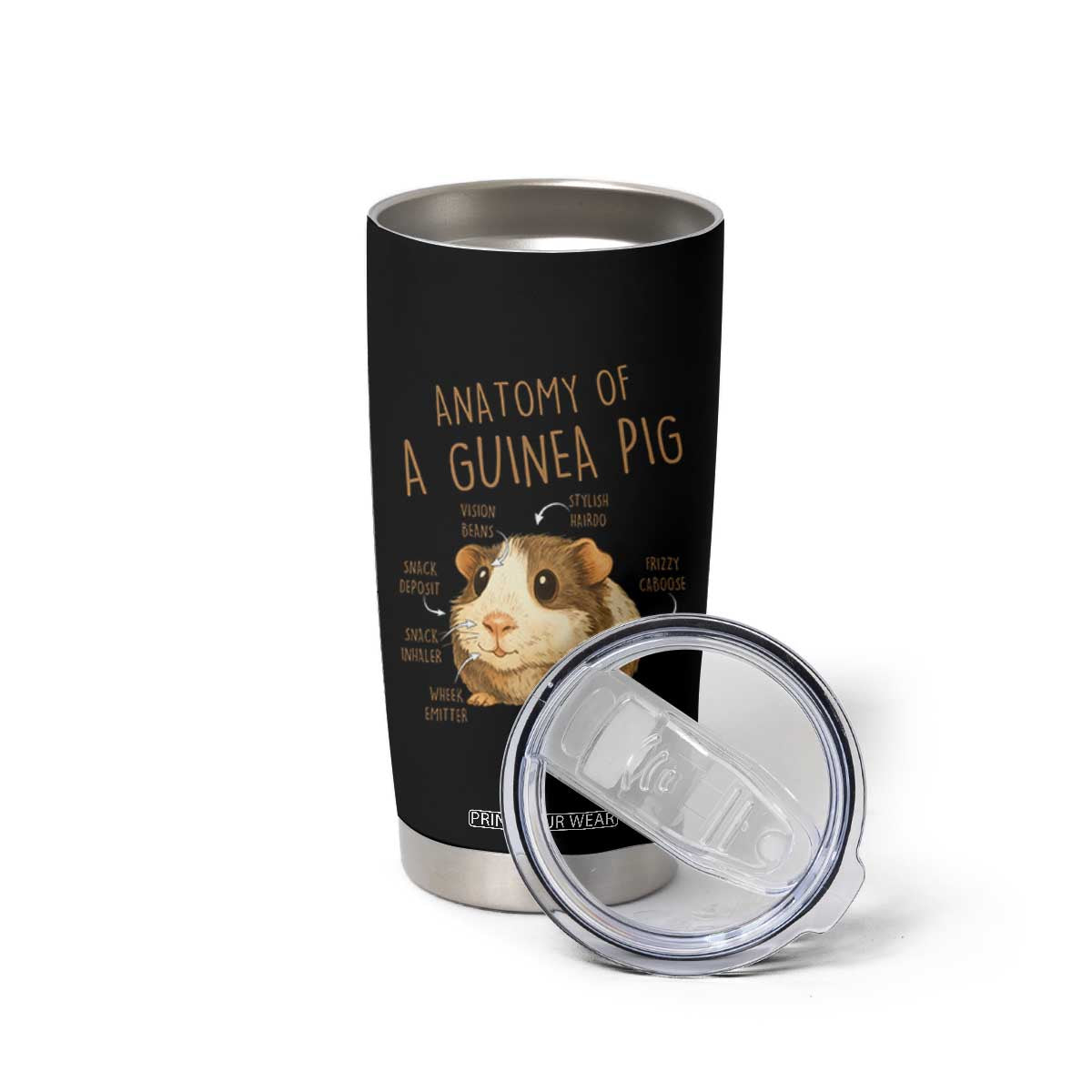 Anatomy Of A Guinea Pig Tumbler Cup Funny Cavy Lover Animal Anatomy Gift TS12 Print Your Wear