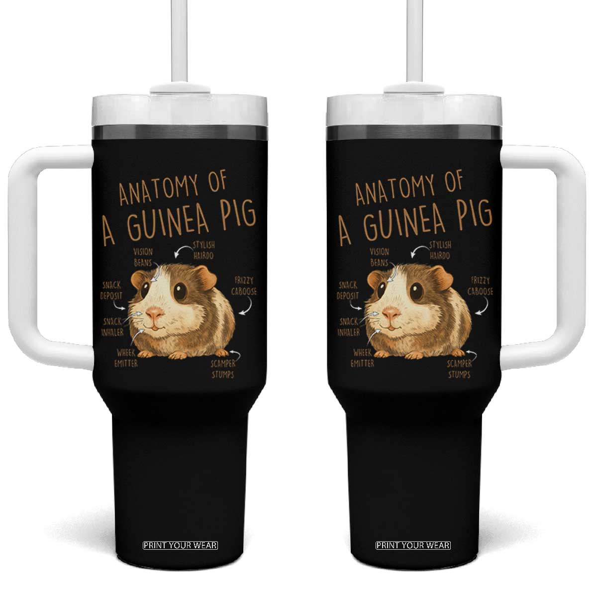 Anatomy Of A Guinea Pig Tumbler With Handle Funny Cavy Lover Animal Anatomy Gift TS12 One Size: 40 oz Black Print Your Wear