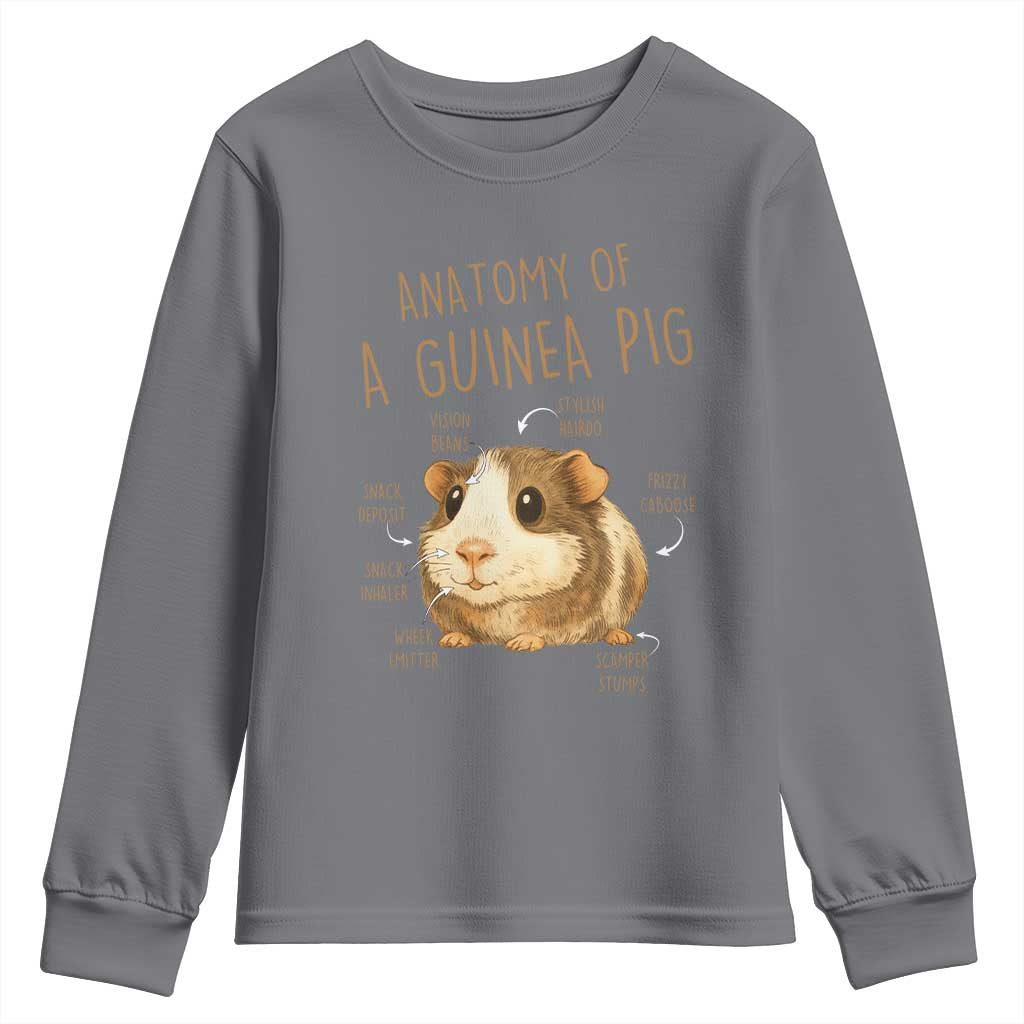 Anatomy Of A Guinea Pig Youth Sweatshirt Funny Cavy Lover Animal Anatomy Gift TS12 Charcoal Print Your Wear