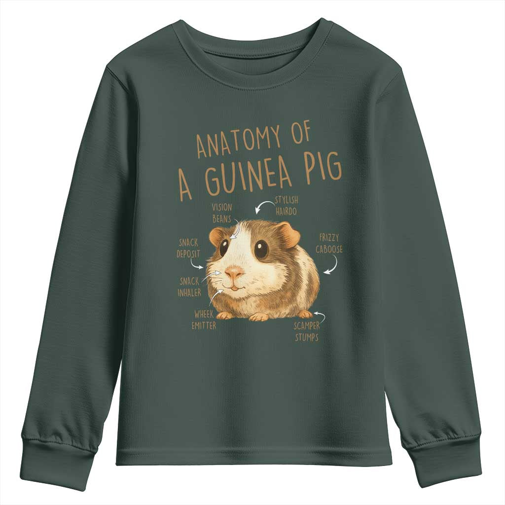 Anatomy Of A Guinea Pig Youth Sweatshirt Funny Cavy Lover Animal Anatomy Gift TS12 Dark Forest Green Print Your Wear