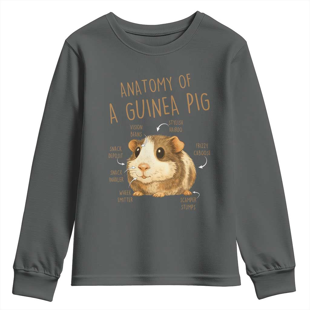 Anatomy Of A Guinea Pig Youth Sweatshirt Funny Cavy Lover Animal Anatomy Gift TS12 Dark Heather Print Your Wear