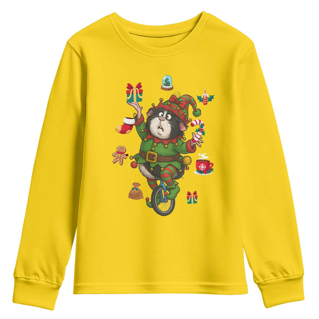 Guinea Pig Master Juggler Youth Sweatshirt Funny Christmas Cavy Lover Gift - Print Your Wear