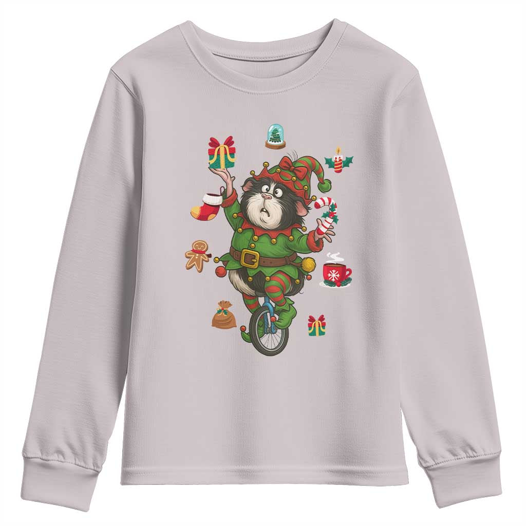 Guinea Pig Master Juggler Youth Sweatshirt Funny Christmas Cavy Lover Gift TS12 Ice Gray Print Your Wear